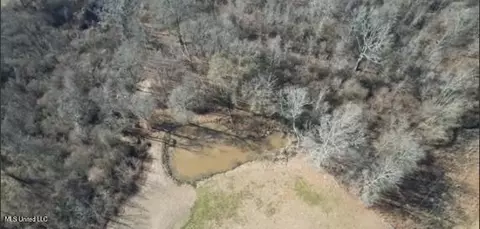 0 Chichester Rd, Edwards, MS 39066 photo 7