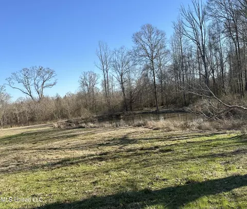 0 Chichester Rd, Edwards, MS 39066 photo 8