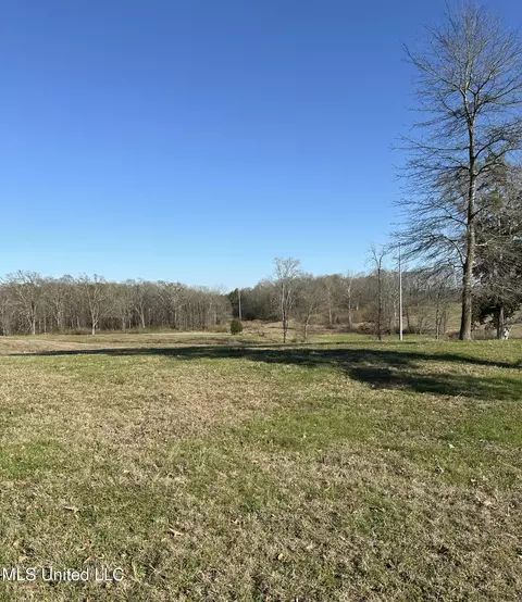 0 Chichester Rd, Edwards, MS 39066 photo 12