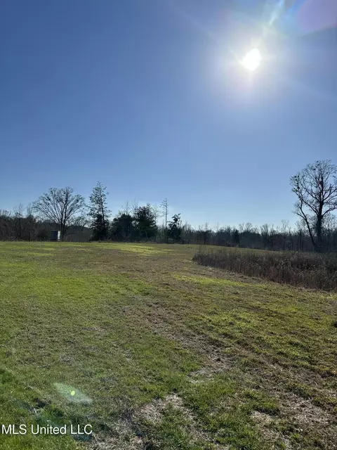 0 Chichester Rd, Edwards, MS 39066 photo 13