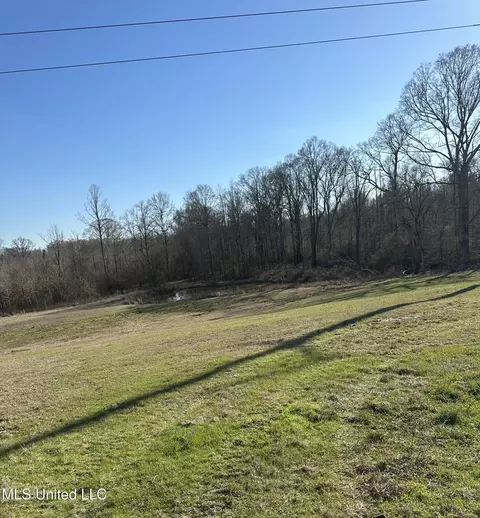 0 Chichester Rd, Edwards, MS 39066 photo 9
