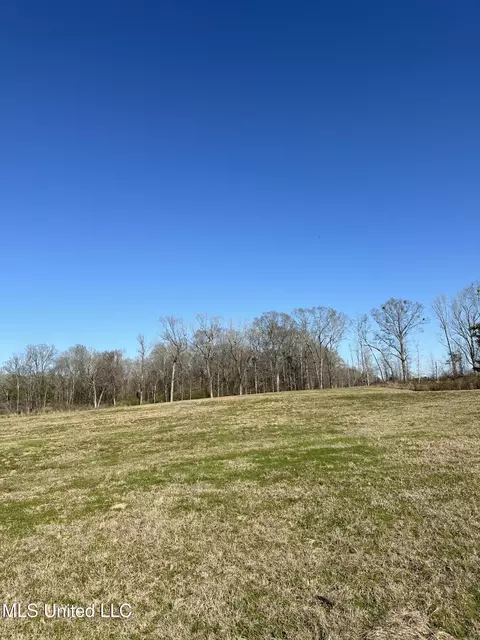 0 Chichester Rd, Edwards, MS 39066 photo 14
