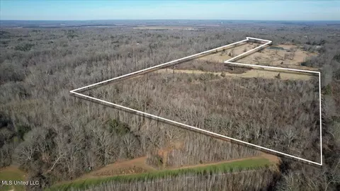 0 Chichester Rd, Edwards, MS 39066 photo 3
