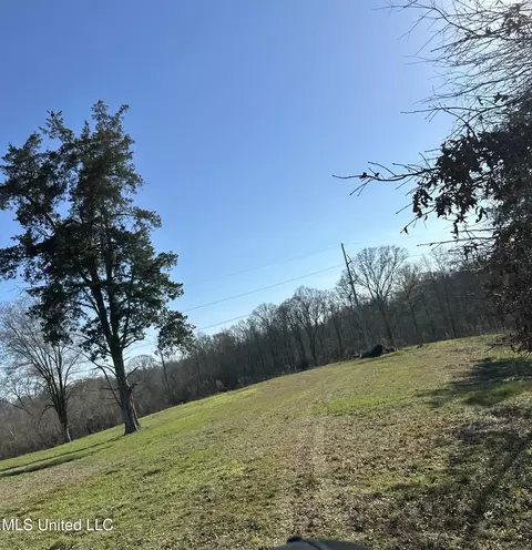 0 Chichester Rd, Edwards, MS 39066 photo 11