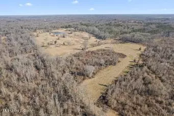 0 Chichester Rd, Edwards, MS 39066 photo 4