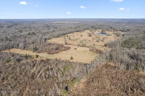 0 Chichester Rd, Edwards, MS 39066 photo 5