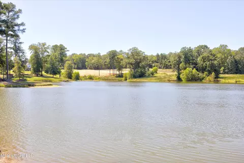 7 Plank Rd, Hernando, MS 38632 photo 9