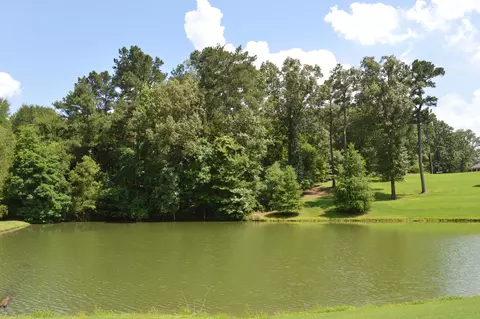 7 Plank Rd, Hernando, MS 38632 photo 8
