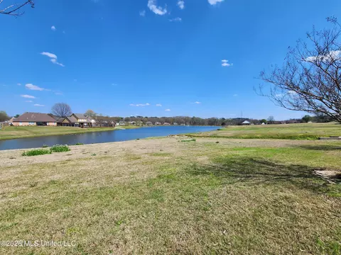View/Area - 3396 Clepsyda Dr, Hernando, MS 38632 photo 1 of 1