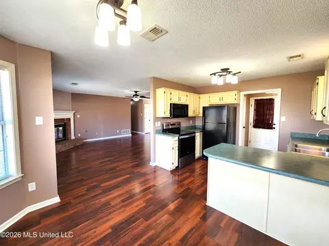 Kitchen - 3396 Clepsyda Dr, Hernando, MS 38632 photo 5 of 5