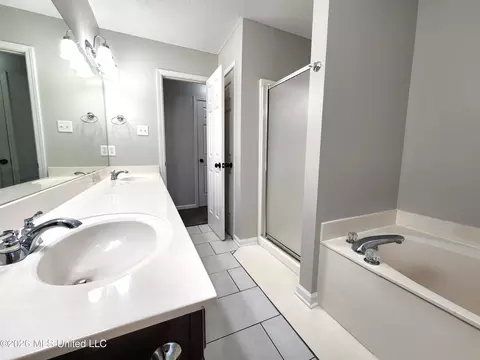 Bath - 3396 Clepsyda Dr, Hernando, MS 38632 photo 2 of 3