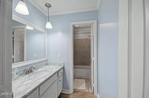 Bath - 606 Honeysuckle Dr, Madison, MS 39110 photo 1 of 4