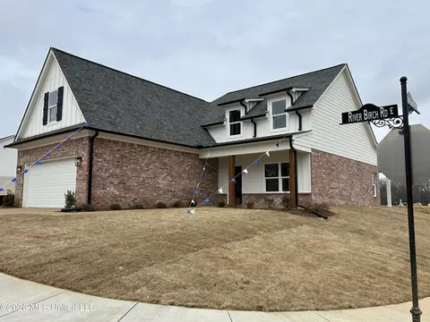 Exterior - 6046 E River Birch Rd, Walls, MS 38680 photo 3 of 4