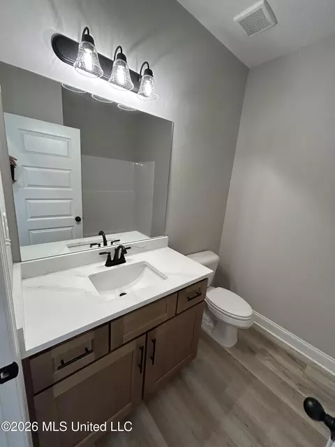 Bath - 6046 E River Birch Rd, Walls, MS 38680 photo 2 of 2
