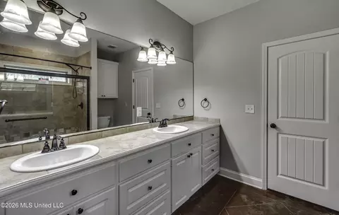Bath - 2017 Pebble Creek Dr, Brandon, MS 39042 photo 1 of 4