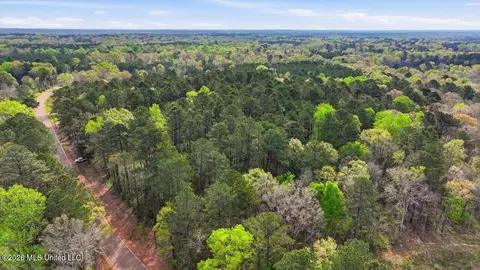 0 Harrisville Braxton Rd, Braxton, MS 39044 photo 24