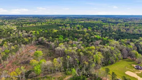 0 Harrisville Braxton Rd, Braxton, MS 39044 photo 12