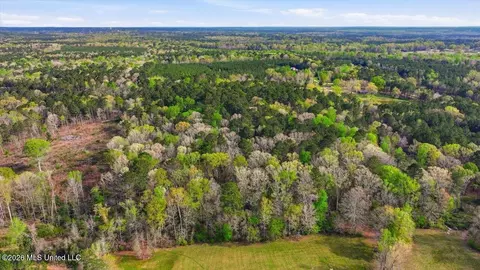 0 Harrisville Braxton Rd, Braxton, MS 39044 photo 13