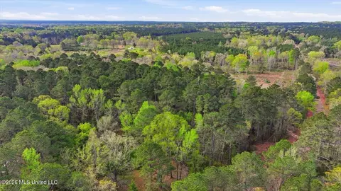 0 Harrisville Braxton Rd, Braxton, MS 39044 photo 28