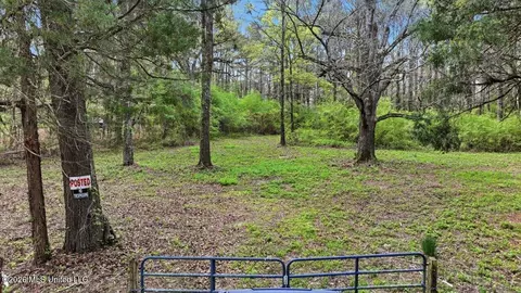 0 Harrisville Braxton Rd, Braxton, MS 39044 photo 3