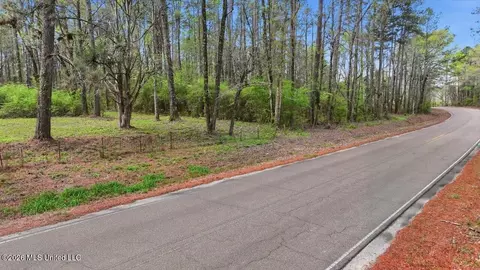 0 Harrisville Braxton Rd, Braxton, MS 39044 photo 2