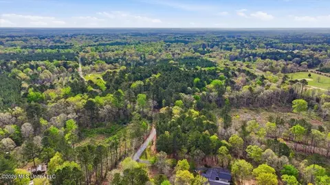 0 Harrisville Braxton Rd, Braxton, MS 39044 photo 9