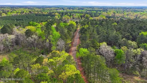 0 Harrisville Braxton Rd, Braxton, MS 39044 photo 25
