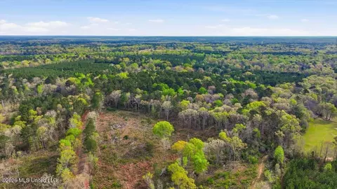 0 Harrisville Braxton Rd, Braxton, MS 39044 photo 11