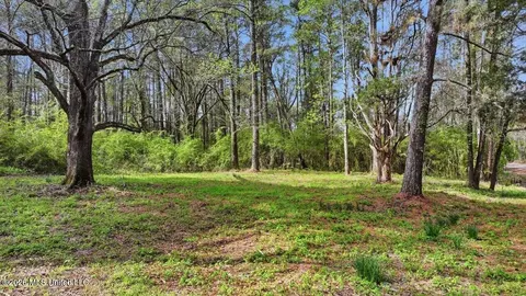 0 Harrisville Braxton Rd, Braxton, MS 39044 photo 33