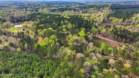 0 Harrisville Braxton Rd, Braxton, MS 39044 photo 6