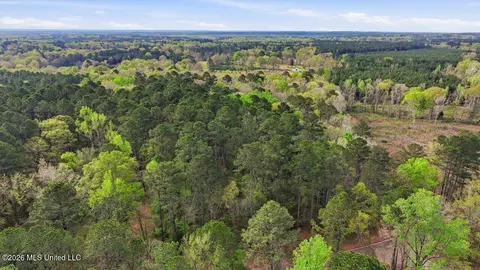 0 Harrisville Braxton Rd, Braxton, MS 39044 photo 27