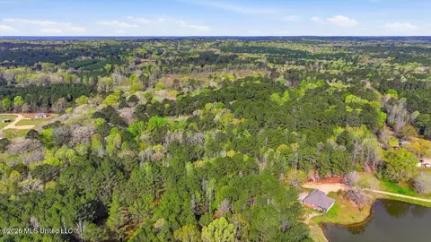 0 Harrisville Braxton Rd, Braxton, MS 39044 photo 17