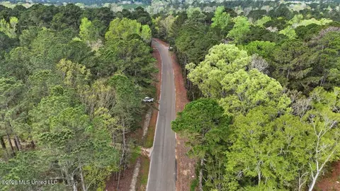 0 Harrisville Braxton Rd, Braxton, MS 39044 photo 31