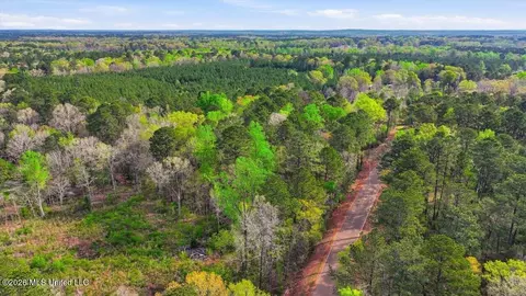 0 Harrisville Braxton Rd, Braxton, MS 39044 photo 23