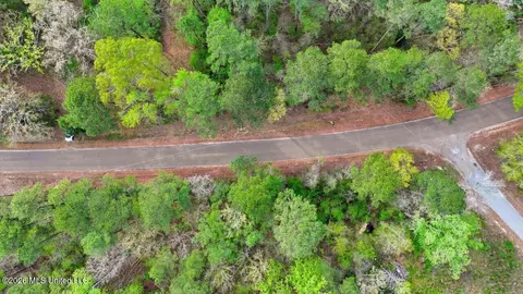 0 Harrisville Braxton Rd, Braxton, MS 39044 photo 29