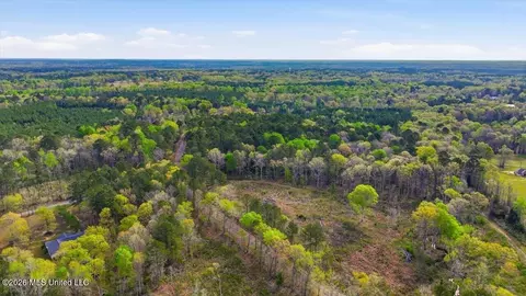 0 Harrisville Braxton Rd, Braxton, MS 39044 photo 10