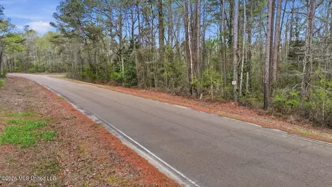 0 Harrisville Braxton Rd, Braxton, MS 39044 photo 32