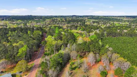 0 Harrisville Braxton Rd, Braxton, MS 39044 photo 21