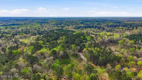 0 Harrisville Braxton Rd, Braxton, MS 39044 photo 8