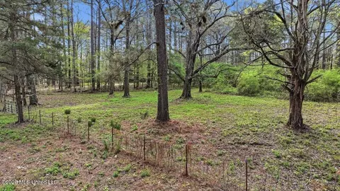 0 Harrisville Braxton Rd, Braxton, MS 39044