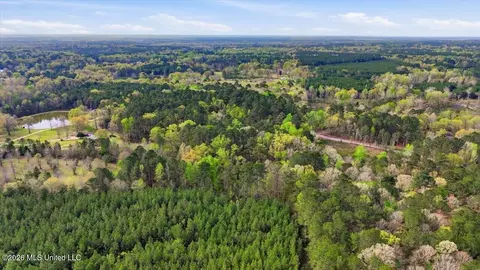 0 Harrisville Braxton Rd, Braxton, MS 39044 photo 7