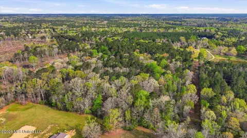 0 Harrisville Braxton Rd, Braxton, MS 39044 photo 14