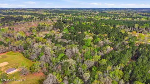 0 Harrisville Braxton Rd, Braxton, MS 39044 photo 15