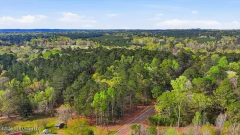 0 Harrisville Braxton Rd, Braxton, MS 39044 photo 22