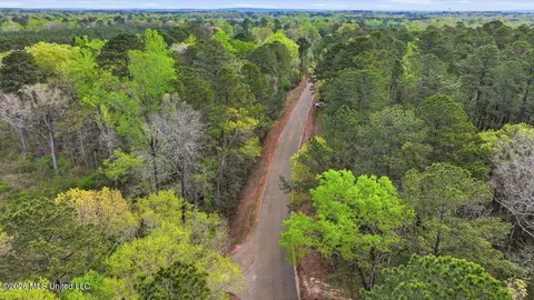 0 Harrisville Braxton Rd, Braxton, MS 39044 photo 30