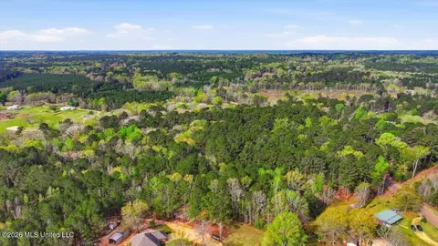 0 Harrisville Braxton Rd, Braxton, MS 39044 photo 18