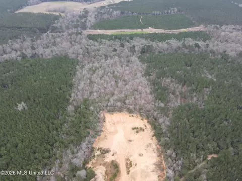 2573 SE Pricedale Dr, Bogue Chitto, MS 39629