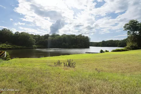 View/Area - 1294 Lakeview Dr, Ashland, MS 38603 photo 8 of 8
