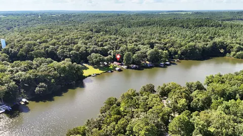 View/Area - 1294 Lakeview Dr, Ashland, MS 38603 photo 5 of 8