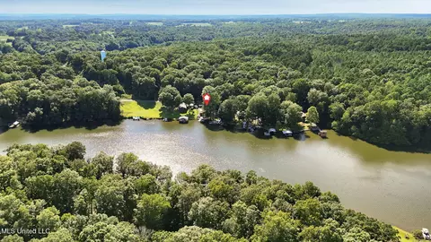 View/Area - 1294 Lakeview Dr, Ashland, MS 38603 photo 6 of 8